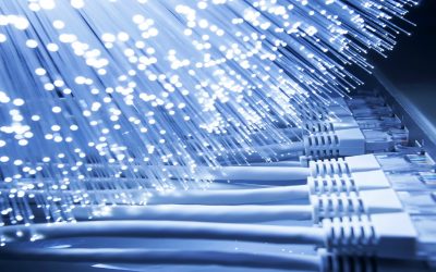 La fibra busca su lugar